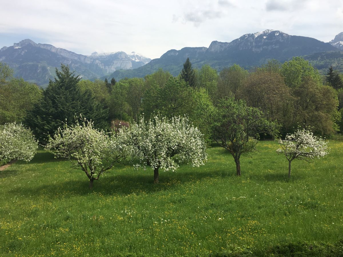 Projet de loi État d’urgence sanitaire : ouverture au public des plages et des forêts
