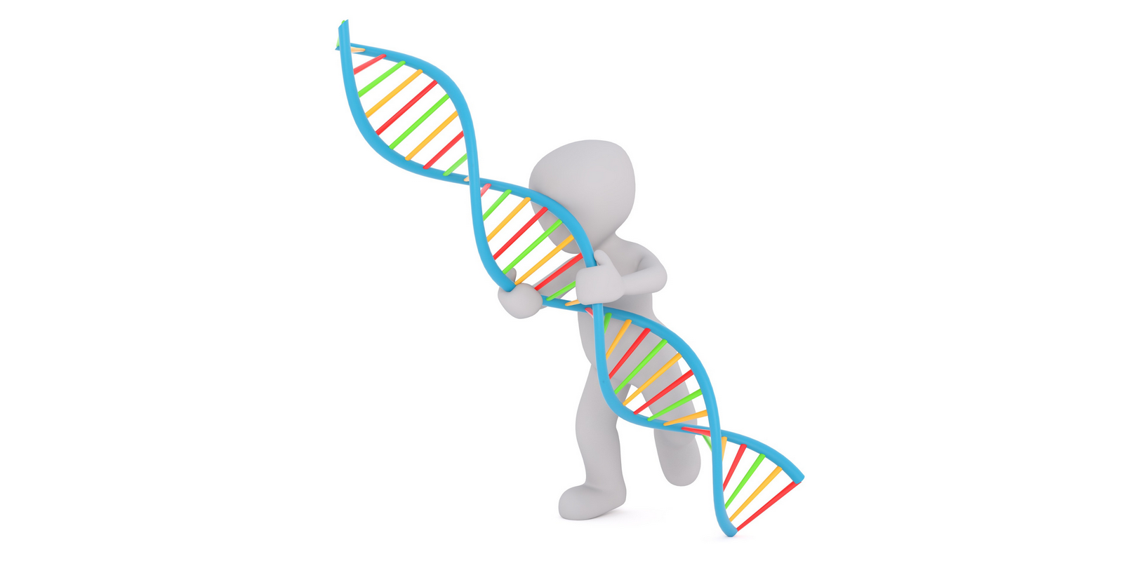 Projet de loi bioéthique, pour un consensus prudent

