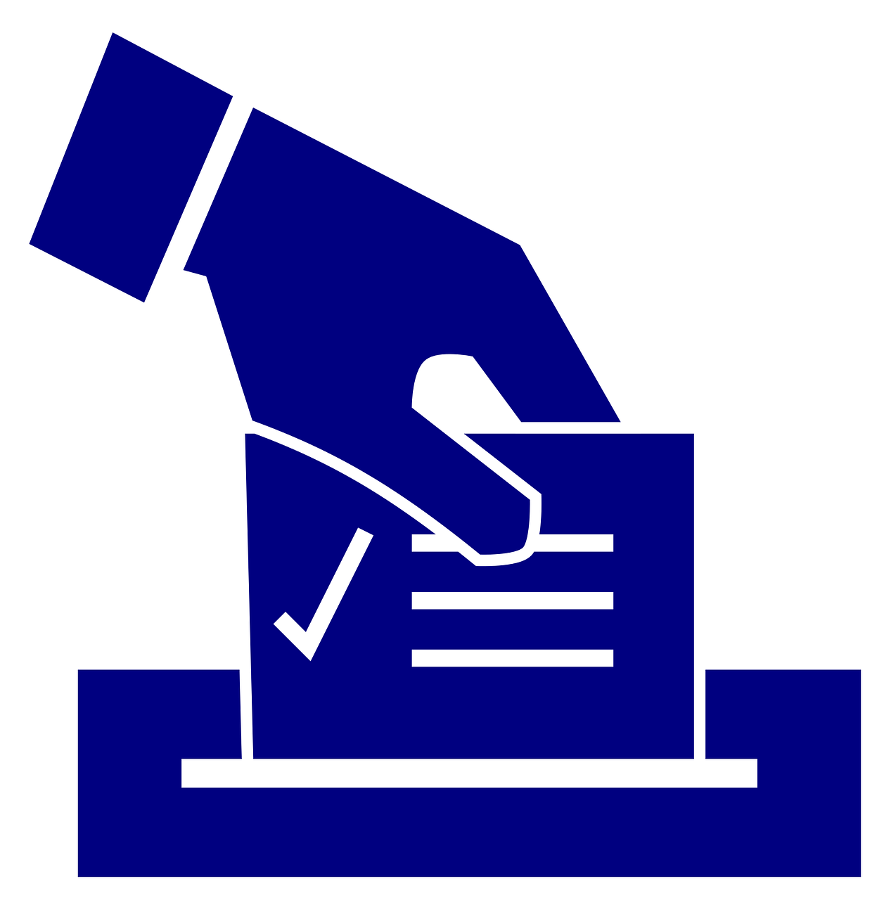 Dysfonctionnements dans l’organisation des élections départementales et régionales de juin 2021
