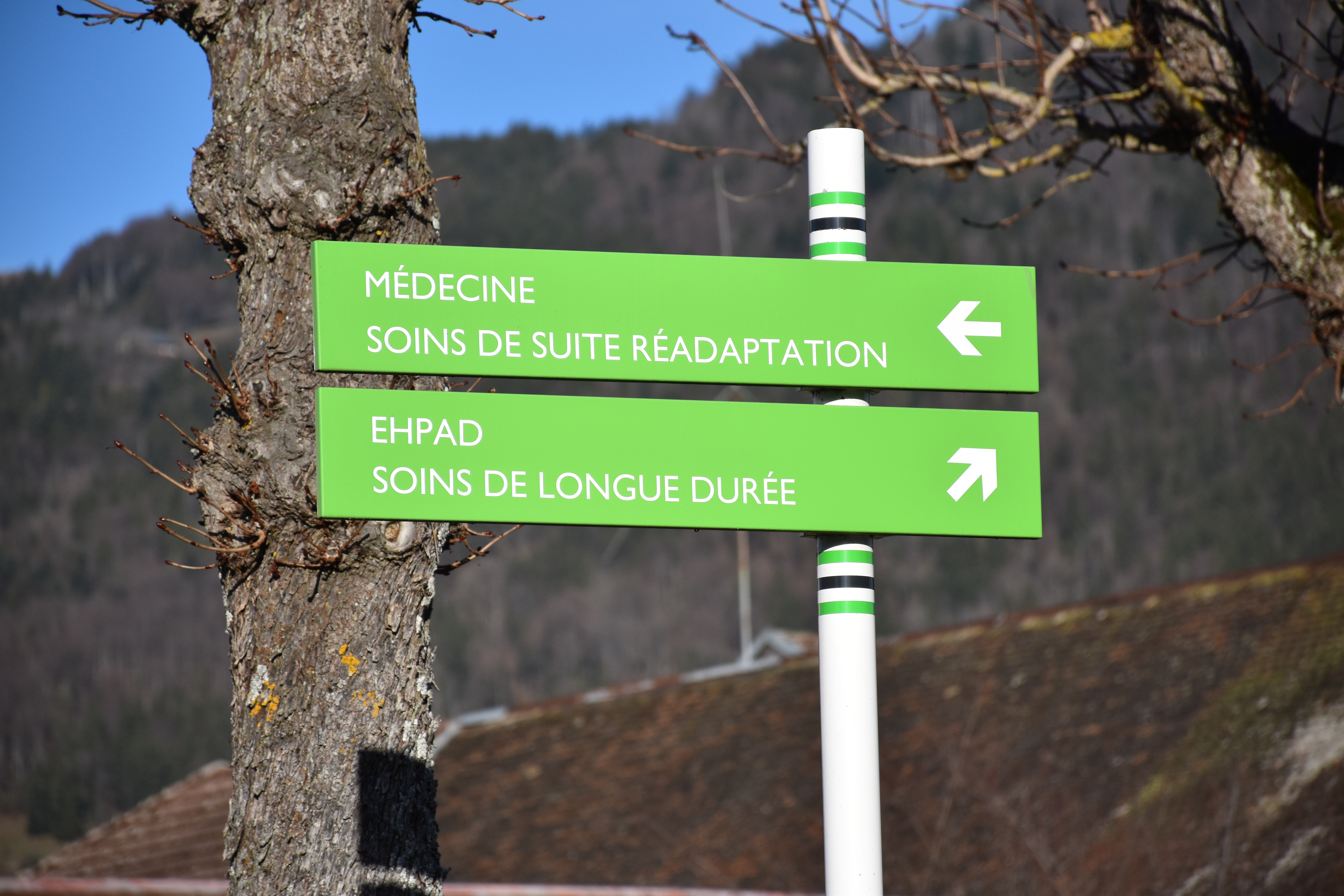 Pour un dépistage systématique dans tous les EHPAD
