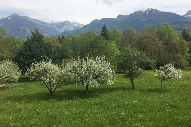 Projet de loi État d’urgence sanitaire : ouverture au public des plages et des forêts

