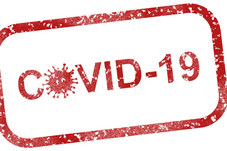 Crise sanitaire : Le Sénateur Loïc HERVÉ nommé membre  du comité de suivi de l’action du Gouvernement au Sénat
