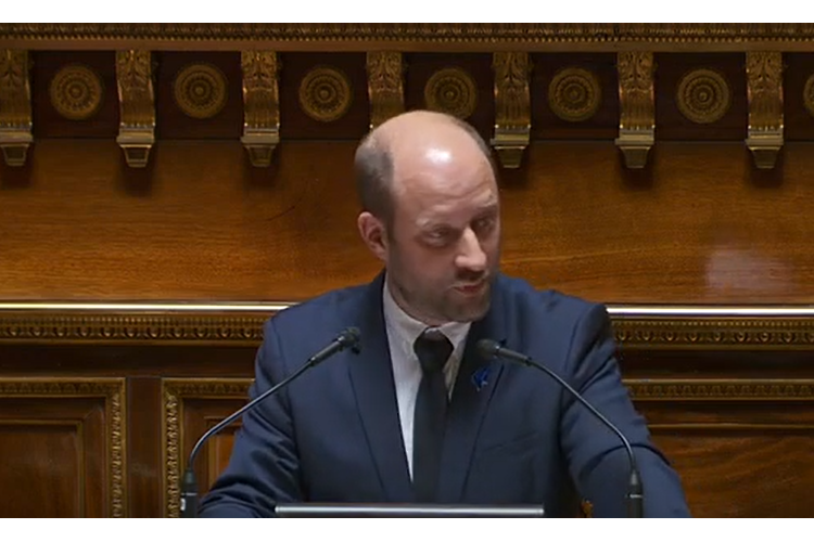 Projet de loi visant à sécuriser et réguler l’espace numérique
