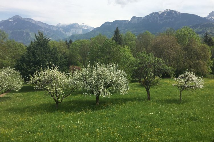 Projet de loi État d’urgence sanitaire&nbsp;: ouverture au public des plages et des forêts
