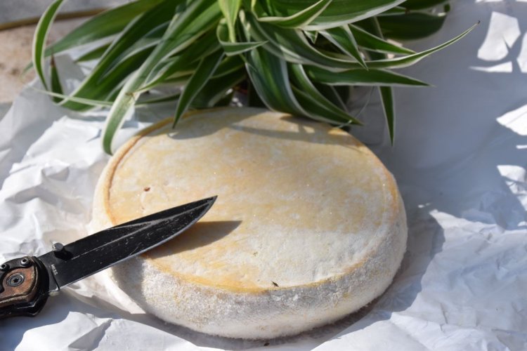 Pour une meilleure reconnaissance des indications géographiques dans la notation Nutri-score
